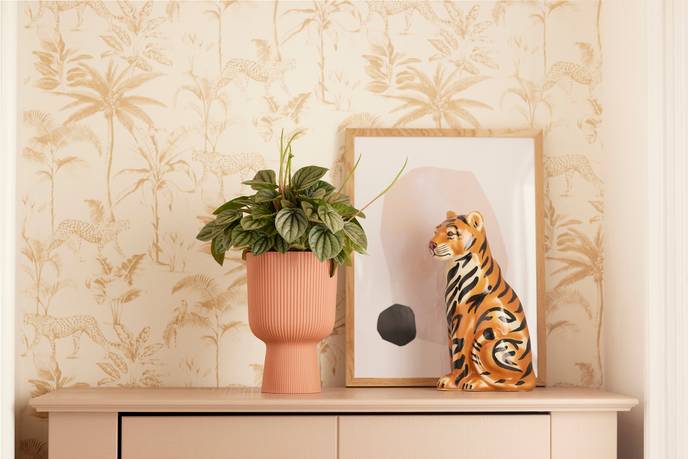 vibes fold coupe 14cm delicate pink